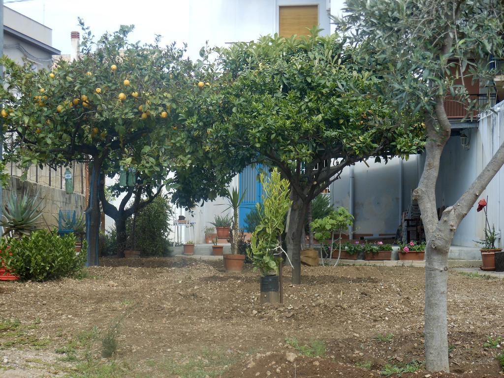 דירות אבולה Il Giardino Del Corso מראה חיצוני תמונה